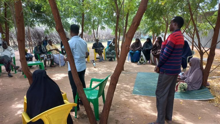 Peacebuilding and Conflict Resolution: Facilitate peacebuilding initiatives.