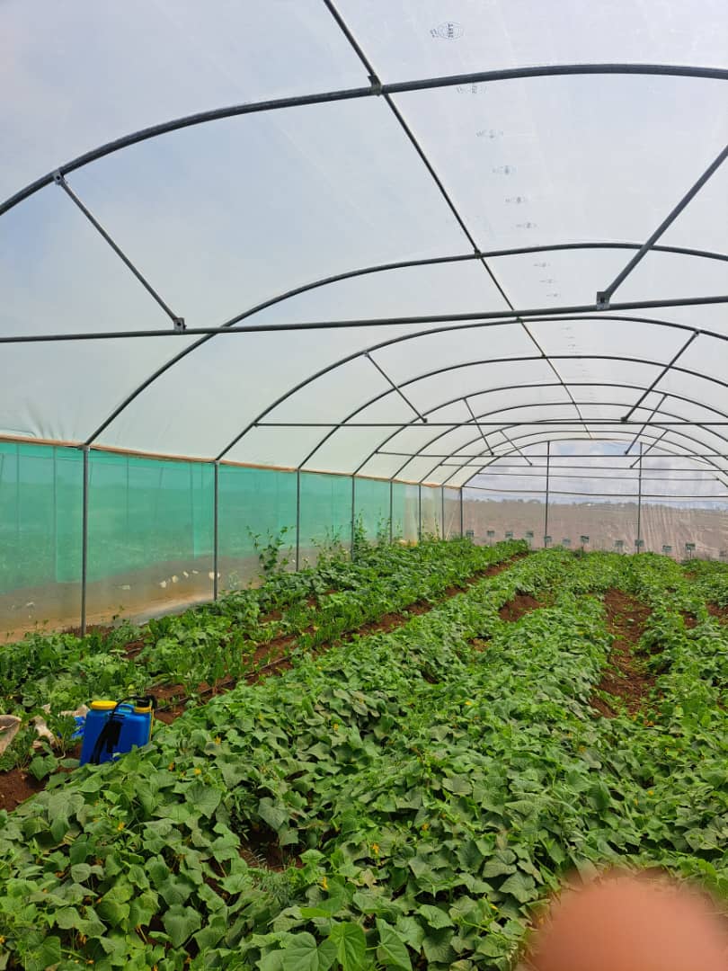 Climate Action and Resilience: Mitigate climate change effects and build resilience.